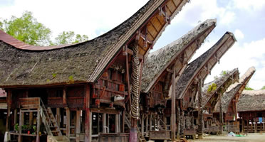 sulawesi wood house